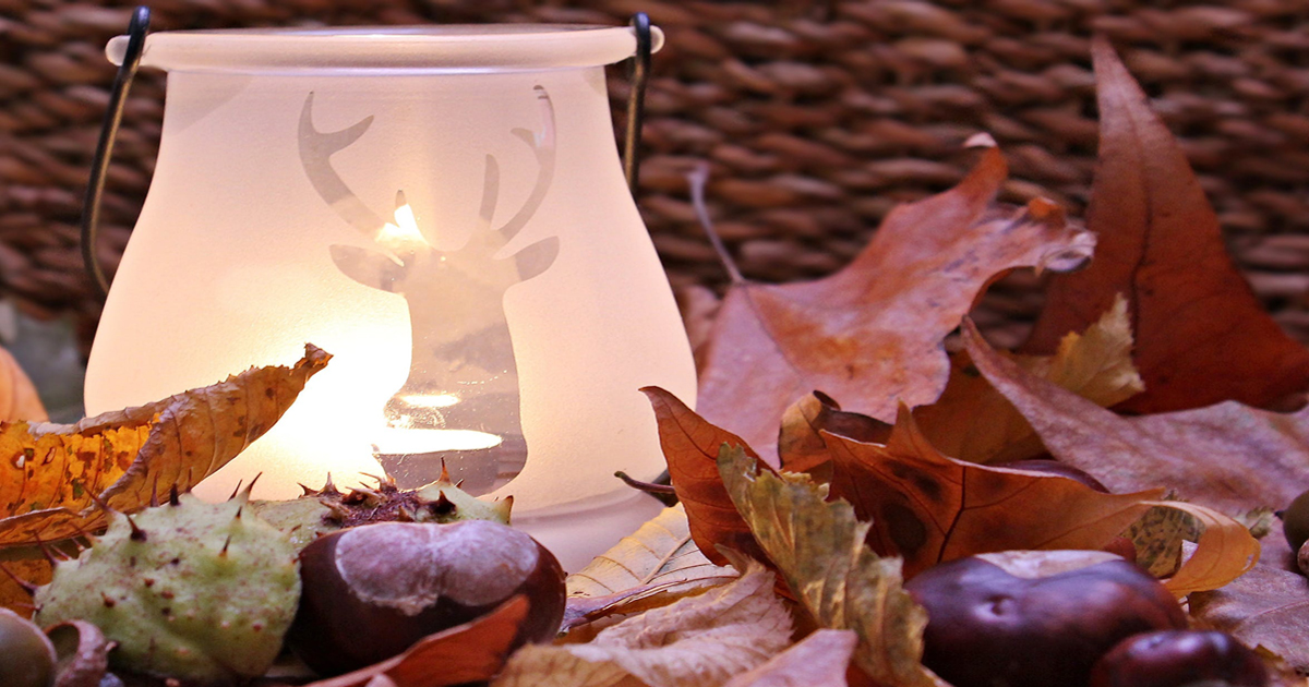 9 of the best autumnal home accessories - UK Mums TV