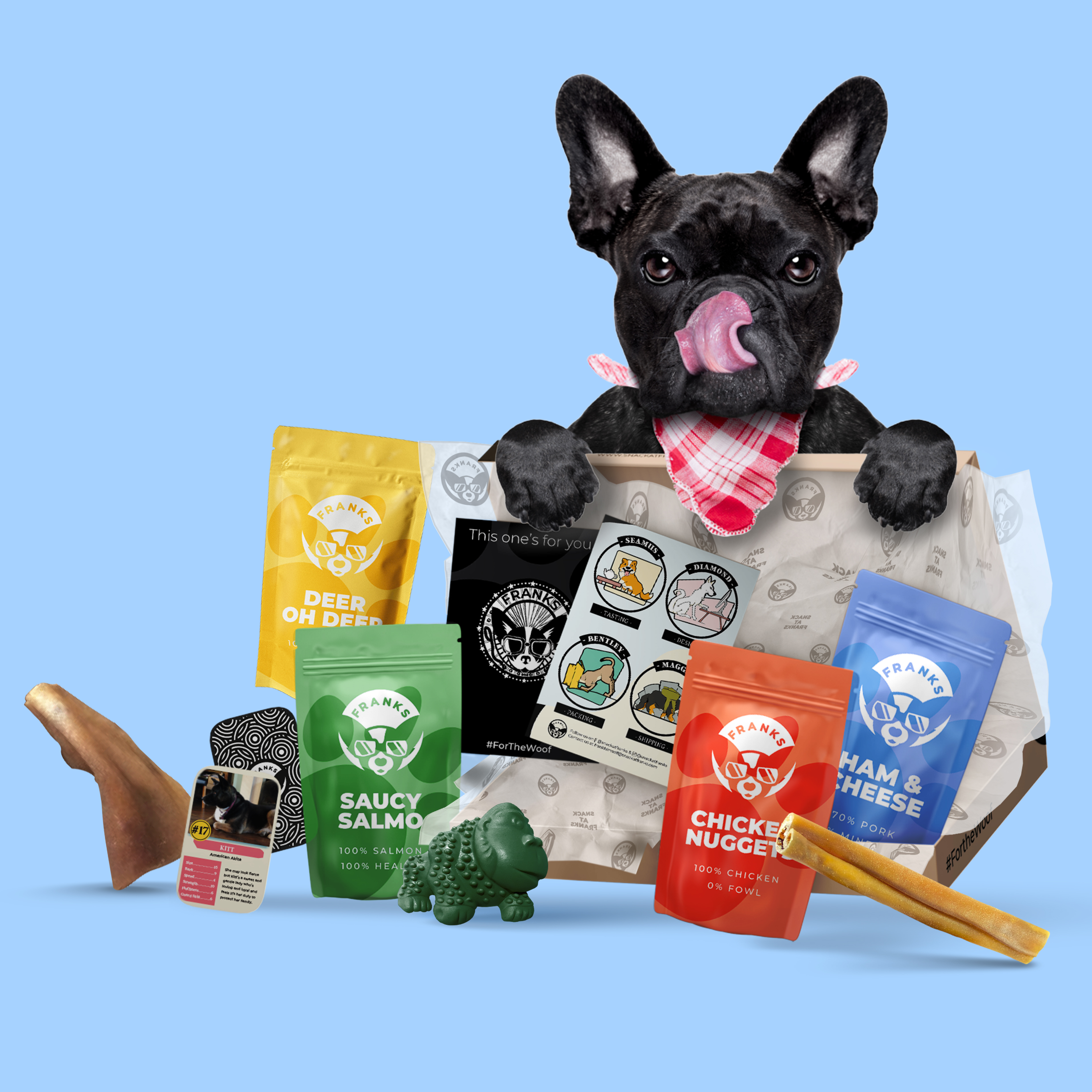 Free dog subscription clearance box