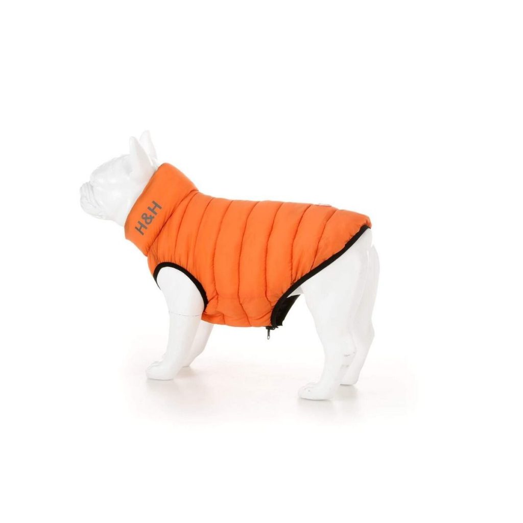 5 best winter dog coats! - UK Mums TV