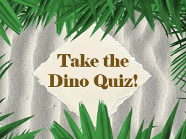 Take the dino quiz!