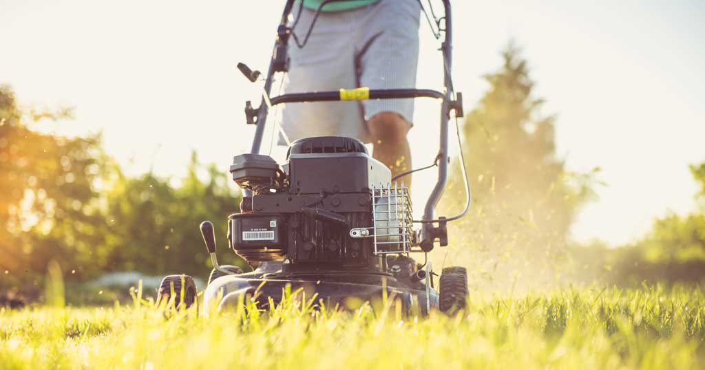 when-to-cut-grass-after-winter-uk-mums-tv