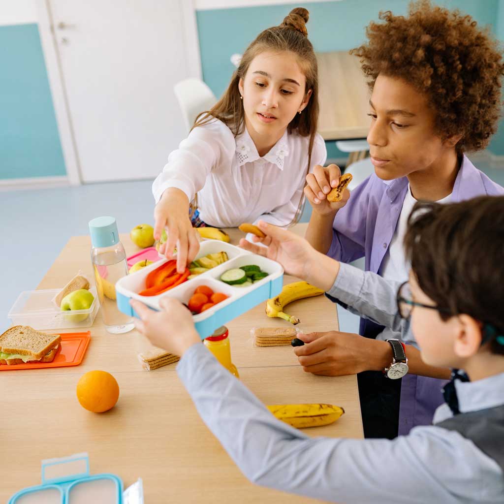 Healthy School Lunchbox Ideas & Recipes